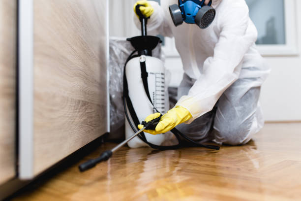 Best Best Pest Control Companies  in Royal City, WA