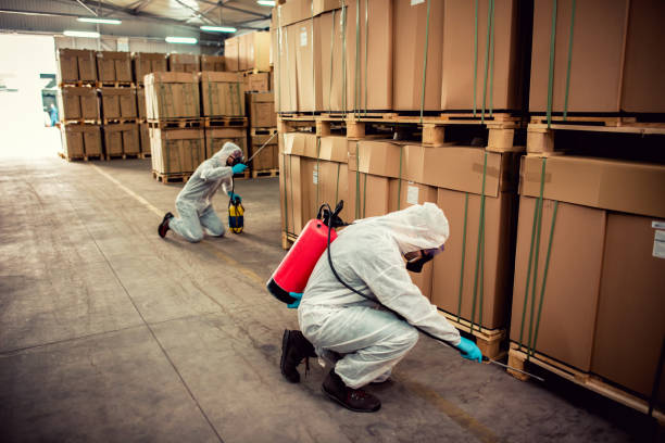 Best Cockroach Control Services  in Royal City, WA
