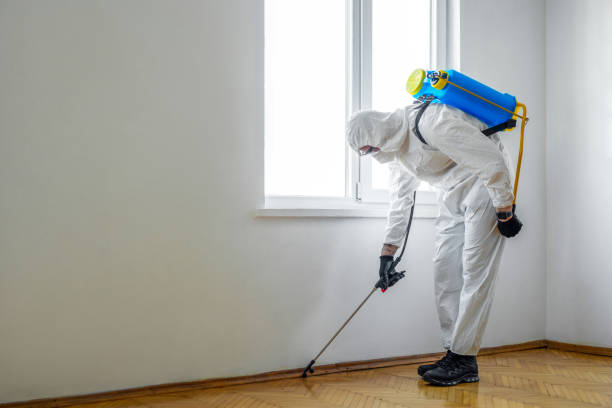 Best Wildlife Control Services  in Royal City, WA