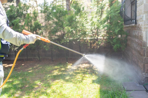Best Local Pest Control Services  in Royal City, WA
