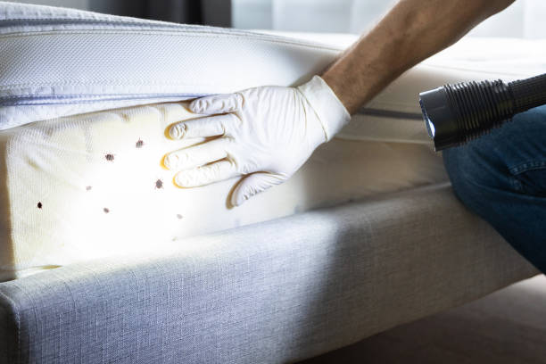 Best Residential Pest Control  in Royal City, WA