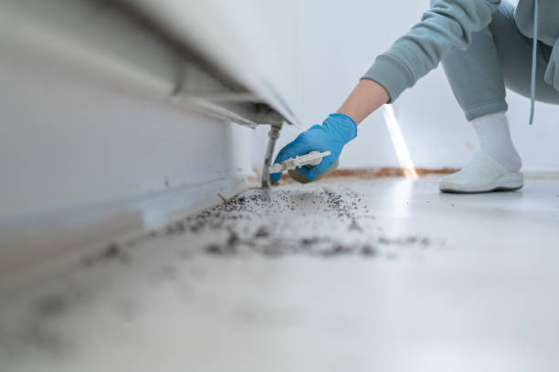 Best Mosquito Control Services  in Royal City, WA
